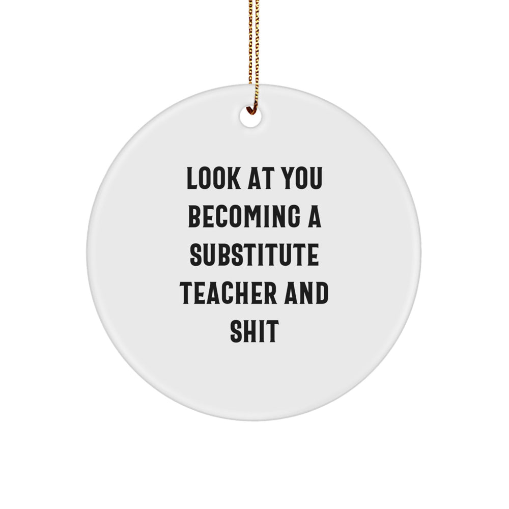 Funny Substitute Teacher Gifts for Men from Friends - Circle Ornament with Look At You Becoming A Substitute Teacher And Shit Quote for Christmas - Image 1