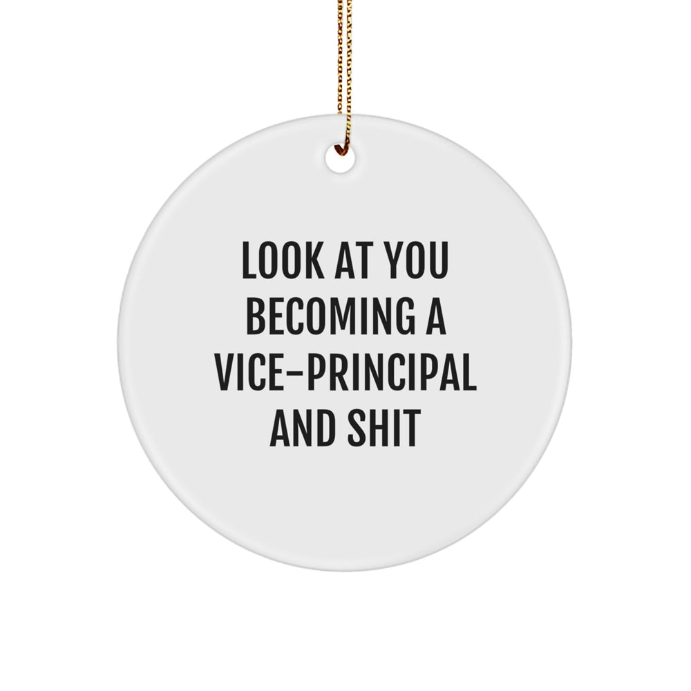 Vice-Principal Gifts from Friends - Funny Circle Ornament for Men, Women, or Coworkers - 'Look At You Becoming A Vice-principal And Shit' Christmas Unique Gifts - Image 1
