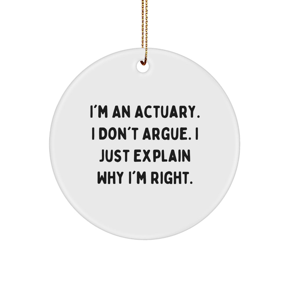 Actuary Gifts, Funny Quote Circle Ornament, Presents from Friends or Family, Christmas Decorations - Image 1
