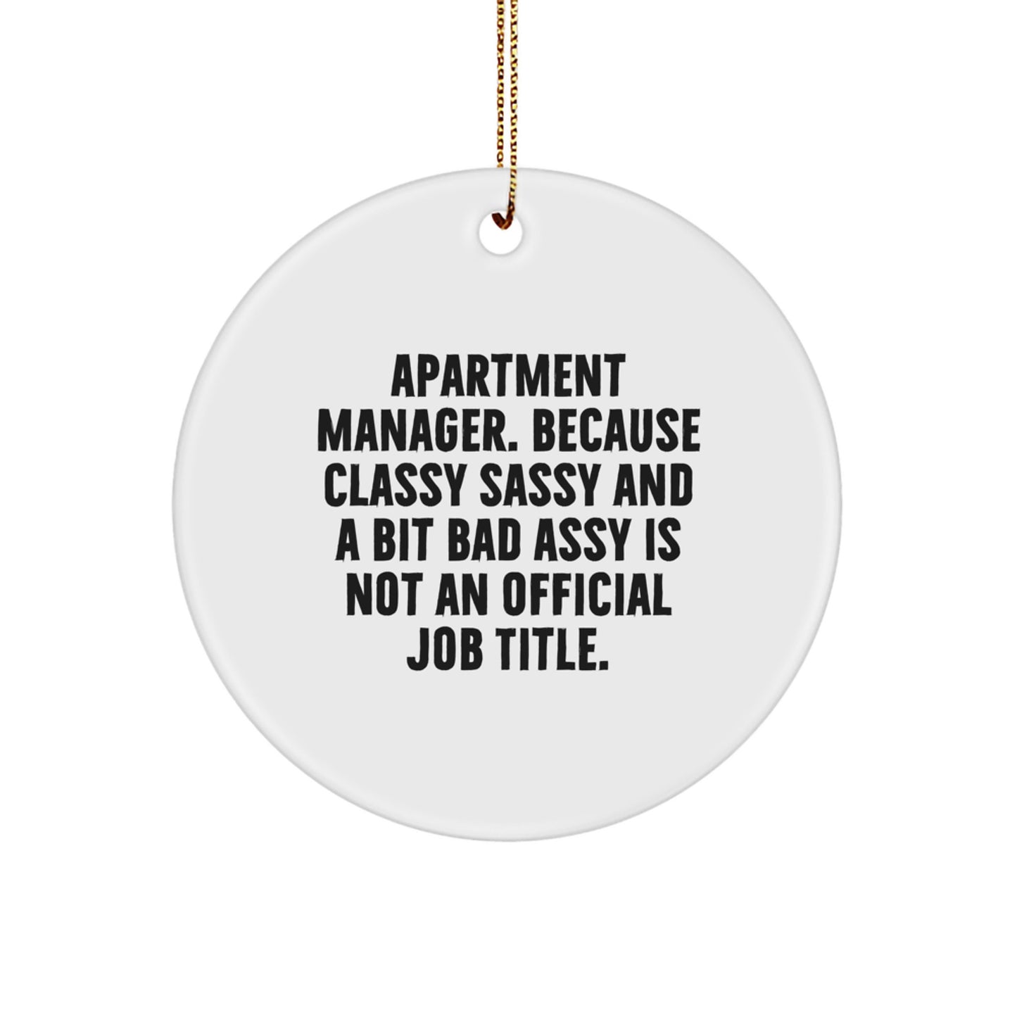 Funny Apartment Manager Gifts for Her, Christmas Unique Circle Ornament from Friends and Family - Image 1