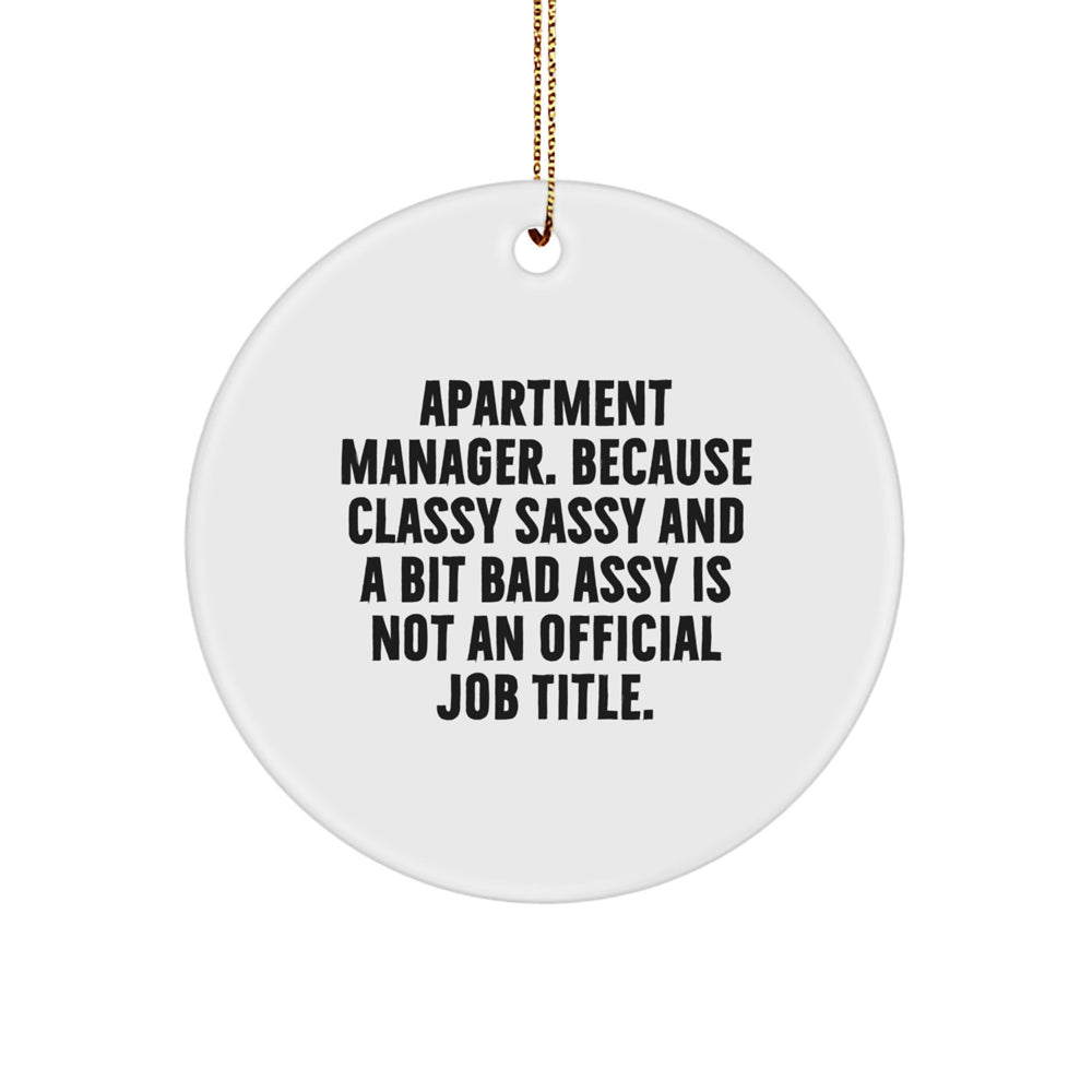 Funny Apartment Manager Gifts for Her, Christmas Unique Circle Ornament from Friends and Family - Image 1