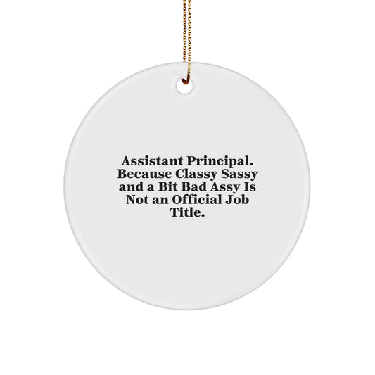 Funny Assistant Principal Gifts, Circle Ornament for Christmas, Inspirational Quote, Gifts from Friends, Gifts for Assistant Principal - Image 1