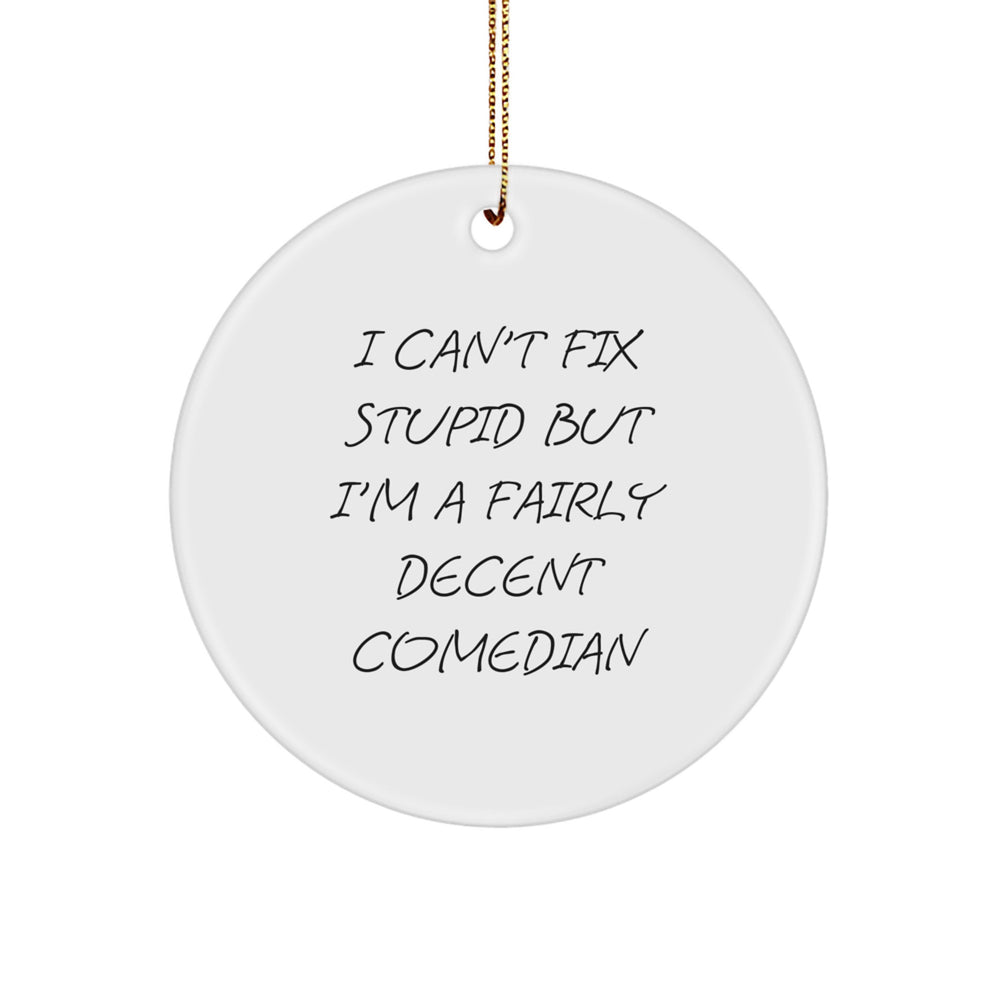 Funny Comedian Gifts for Men from Comedian Friends - I Can't Fix Stupid Circle Ornament, Christmas Decorations - Image 1