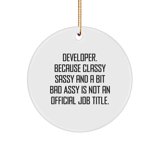 Funny Developer Gifts, Unique Circle Ornament for Men, Women, Friends, and Coworkers - Classy Sassy And A Bit Fearlessy Is Not An Official Job Title. - Image 1