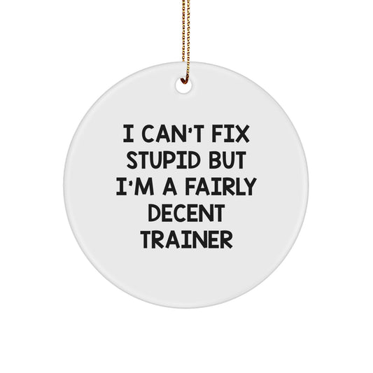 Funny Trainer Gifts from Friends for Christmas - 'I Can't Fix Stupid' Circle Ornament, Unique Trainer Trainer Gifts for Men - Image 1