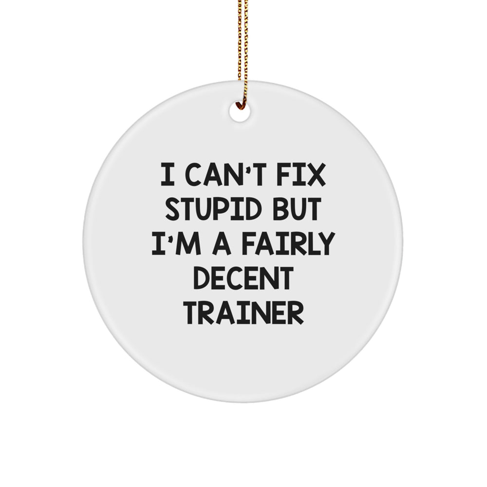 Funny Trainer Gifts from Friends for Christmas - 'I Can't Fix Stupid' Circle Ornament, Unique Trainer Trainer Gifts for Men - Image 1