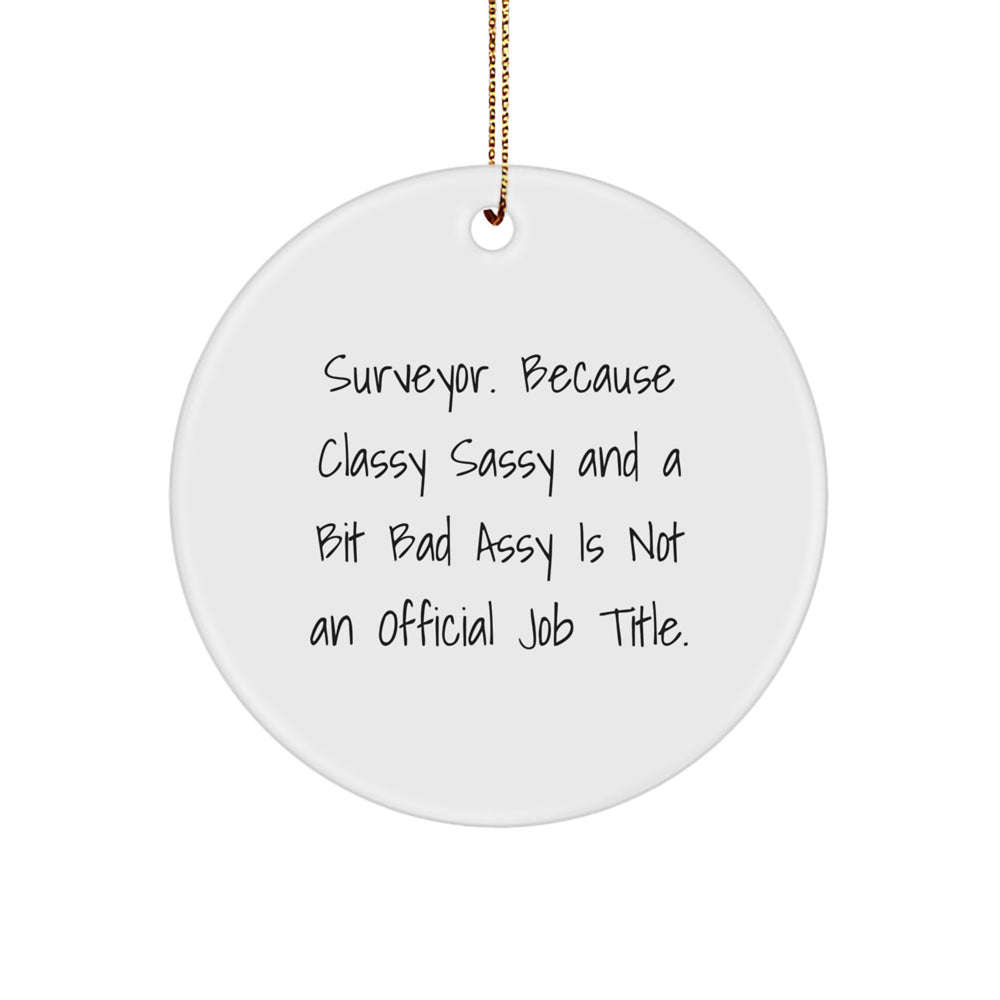 Surveyor Gifts, Funny Quote Circle Ornament, Christmas Unique Gifts from Friends, Family, Coworkers - Image 1