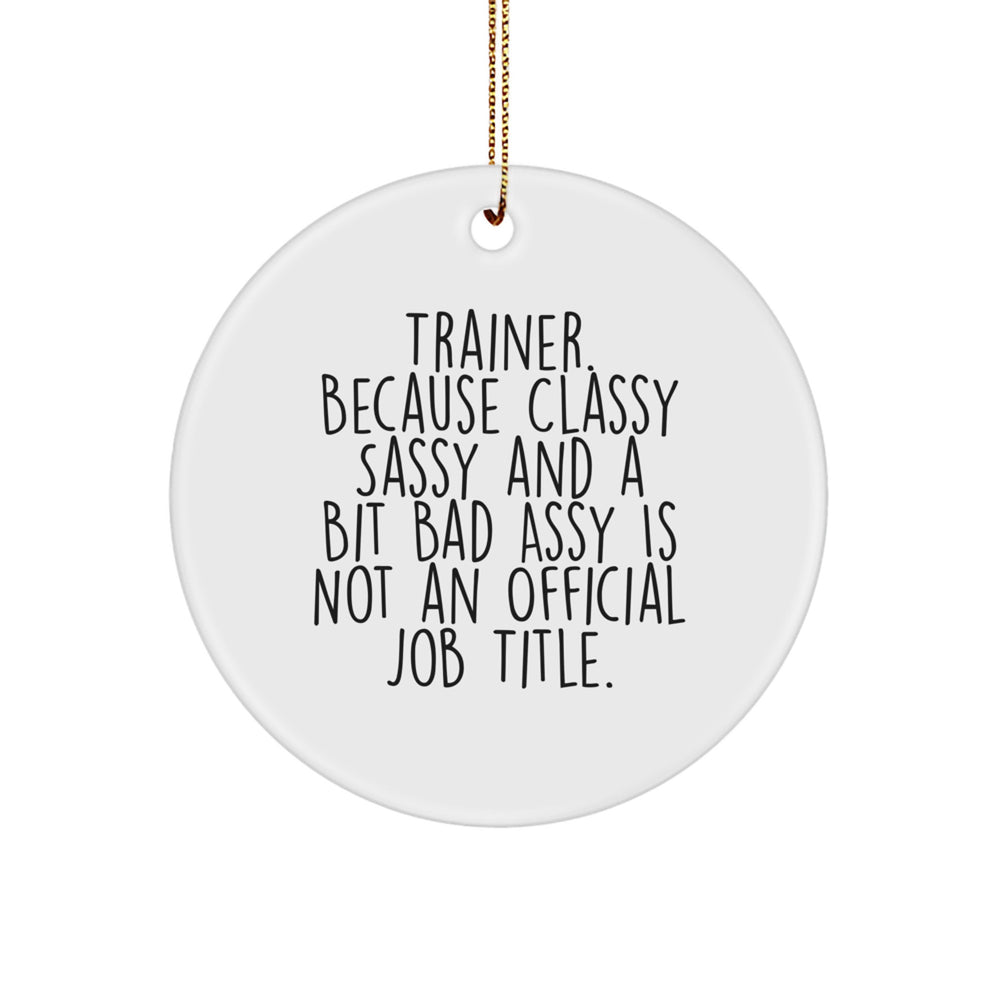 Trainer Gifts from Friends and Family - Trainer Circle Ornament, Funny Quote, Christmas Unique Gifts - Image 1