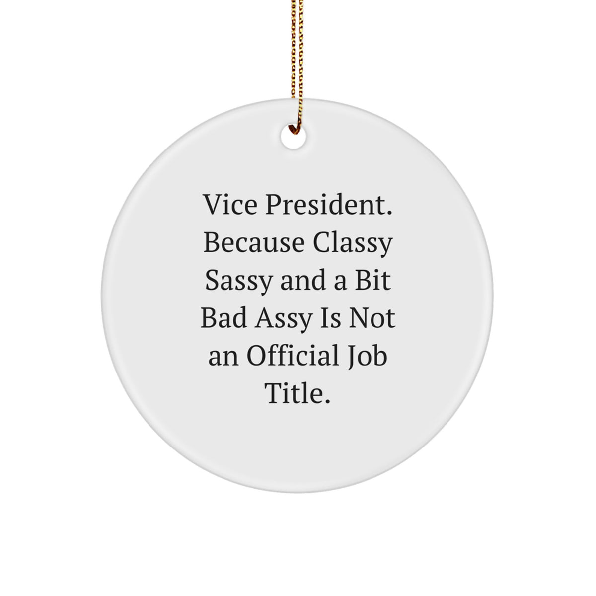 Vice President Gifts, Funny Quote Circle Ornament, Gifts from Friends, Gifts for Him, Unique Christmas Unique Gifts, Inspirational Vice President Decor - Image 1