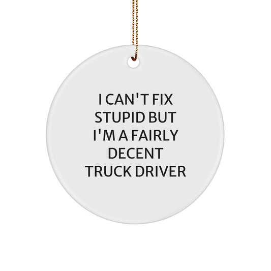 Funny Truck Driver Gifts for Men from Friends - Circle Ornament I Can't Fix Stupid But I'm A Fairly Decent Truck Driver - Image 1