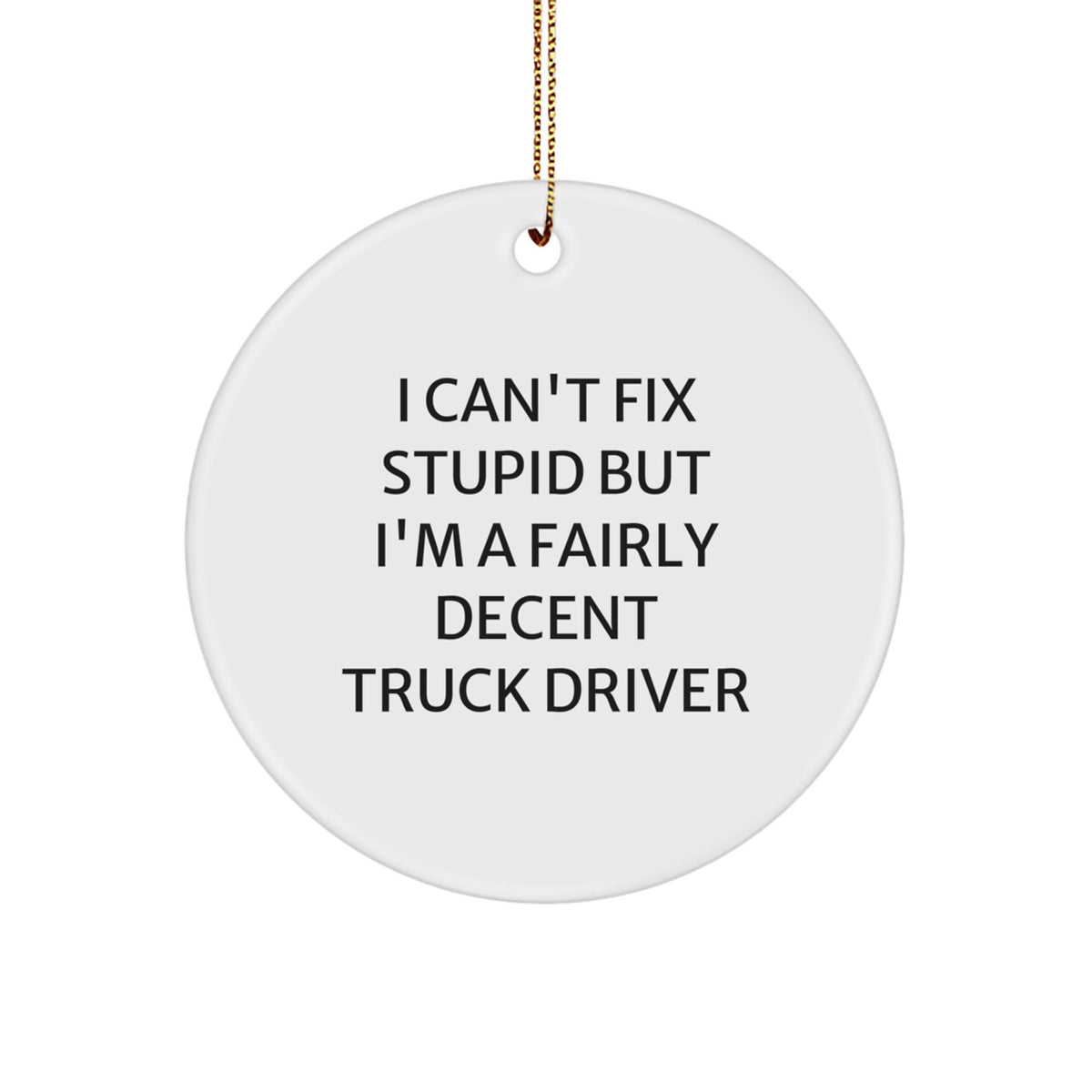 Funny Truck Driver Gifts for Men from Friends - Circle Ornament I Can't Fix Stupid But I'm A Fairly Decent Truck Driver - Image 1