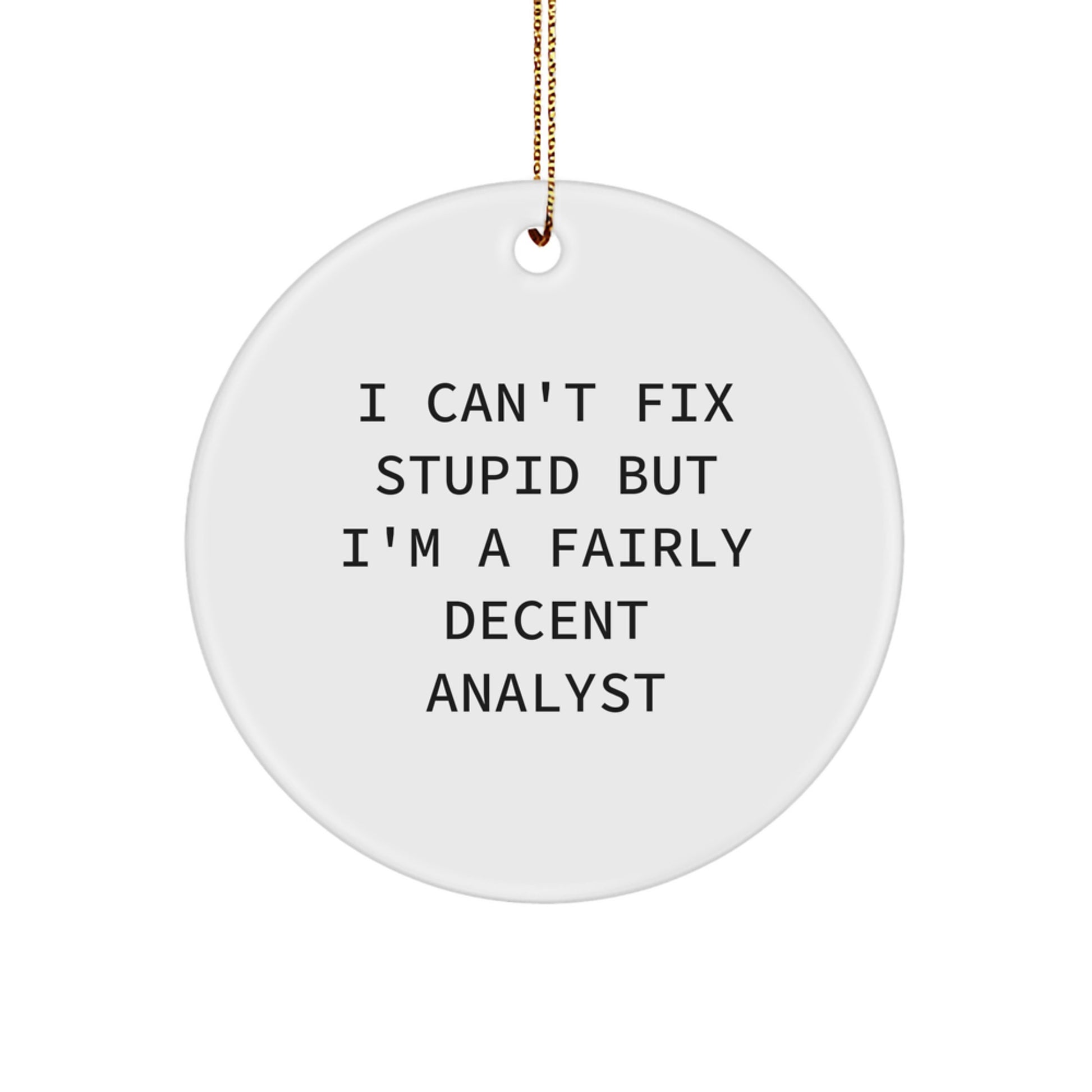 Funny Analyst Christmas Unique Gifts from Friends for Men Circle Ornaments I Can't Fix Stupid - Image 1