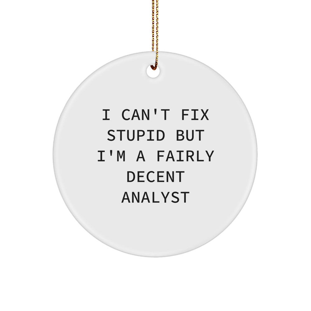 Funny Analyst Christmas Unique Gifts from Friends for Men Circle Ornaments I Can't Fix Stupid - Image 1