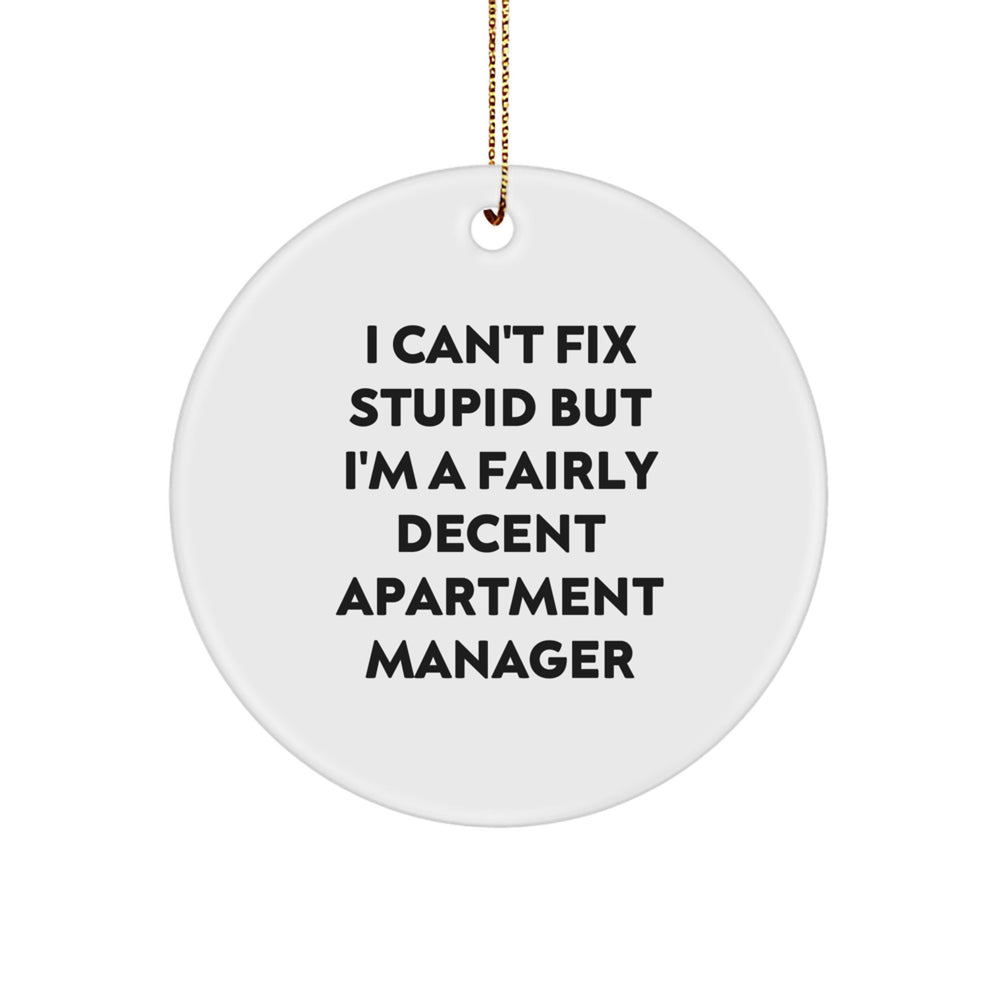 Funny Apartment Manager Gifts - 'I Can't Fix Stupid But I'm A Fairly Decent' Circle Ornament for Christmas - Image 1