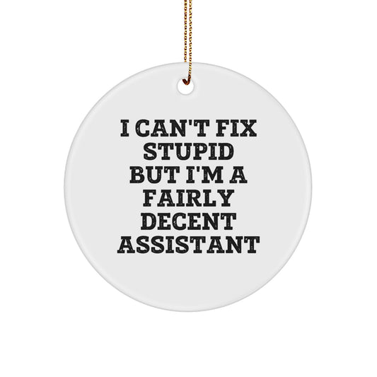Funny Christmas Unique Gifts from Friends for Assistant - I Can't Fix Stupid But I'm A Fairly Decent Assistant Circle Ornament - Image 1