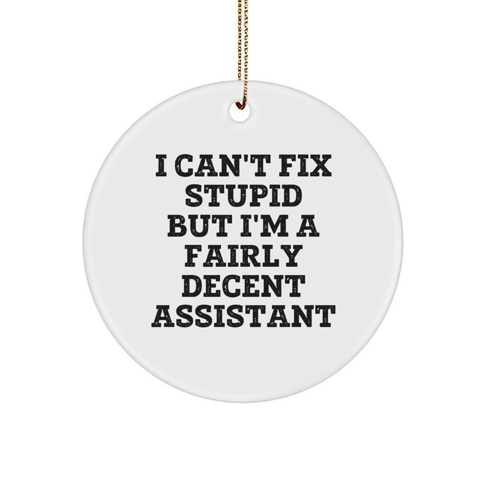 Funny Christmas Unique Gifts from Friends for Assistant - I Can't Fix Stupid But I'm A Fairly Decent Assistant Circle Ornament - Image 1