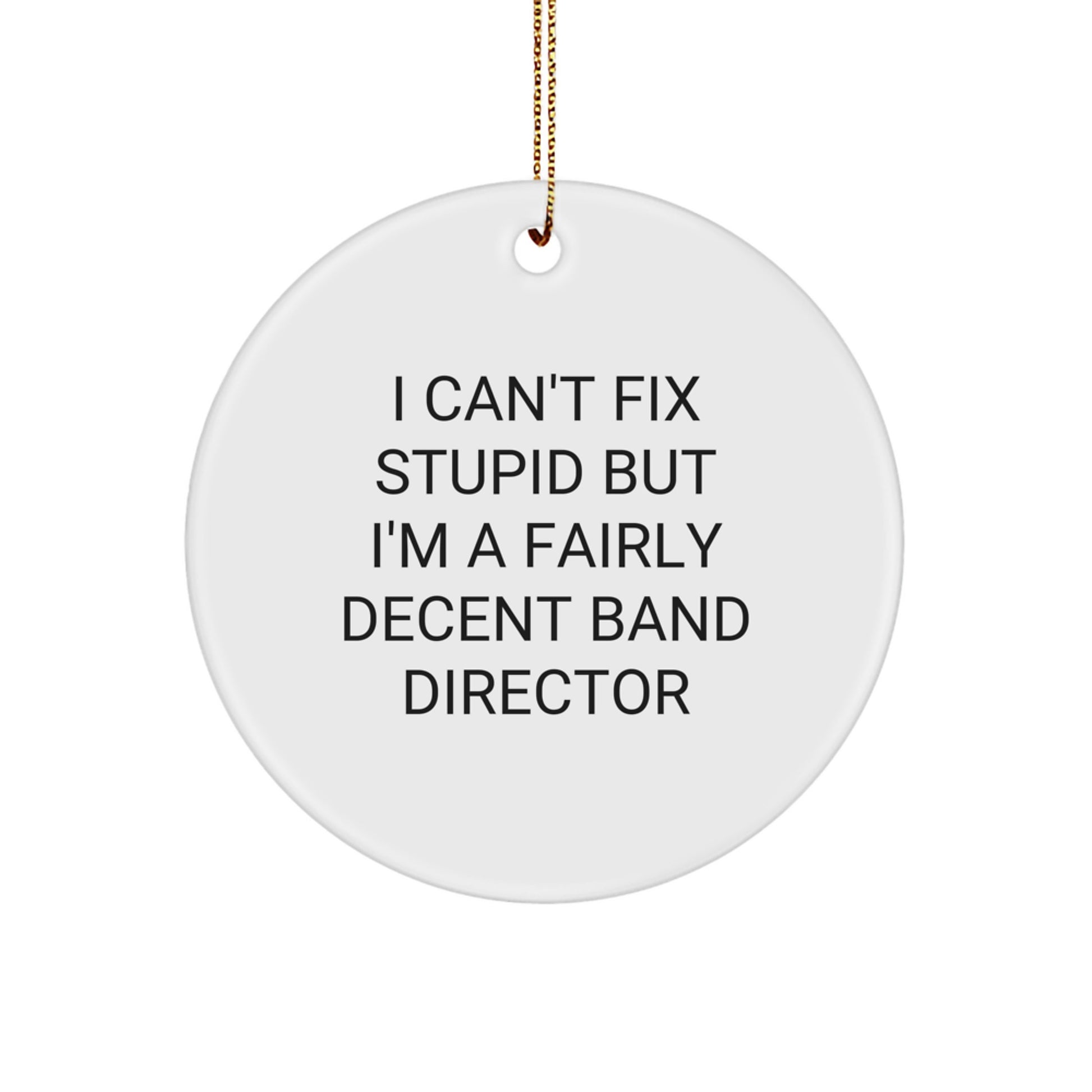 Funny Band Director Gifts from Friends, I Can't Fix Stupid But I'm A Fairly Decent Band Director, Christmas Unique Circle Ornament for Band Director - Image 1