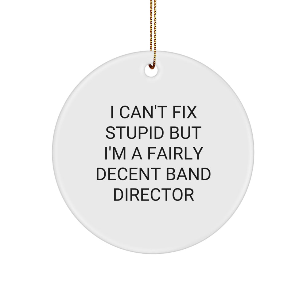 Funny Band Director Gifts from Friends, I Can't Fix Stupid But I'm A Fairly Decent Band Director, Christmas Unique Circle Ornament for Band Director - Image 1