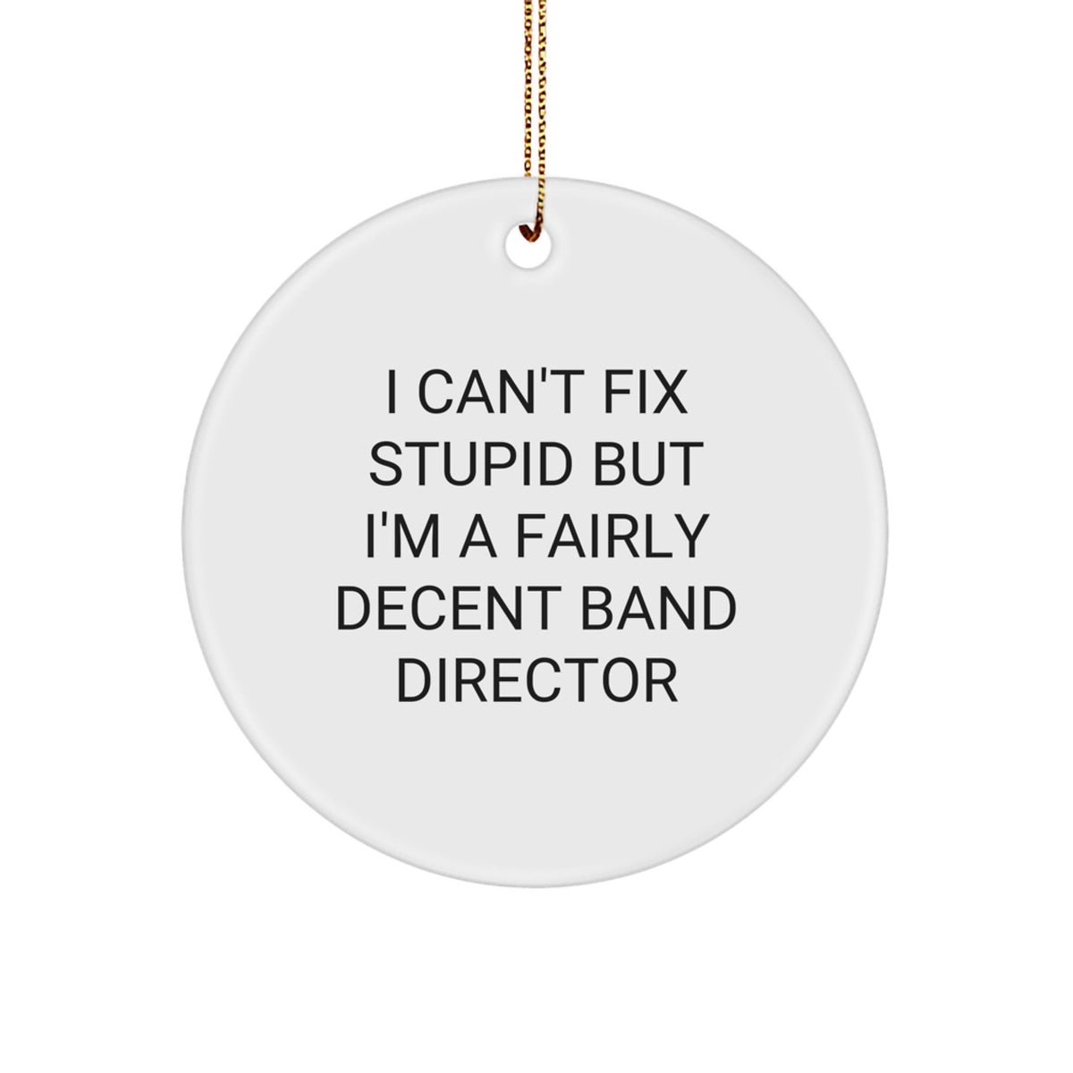 Funny Band Director Gifts from Friends, I Can't Fix Stupid But I'm A Fairly Decent Band Director, Christmas Unique Circle Ornament for Band Director - Image 1