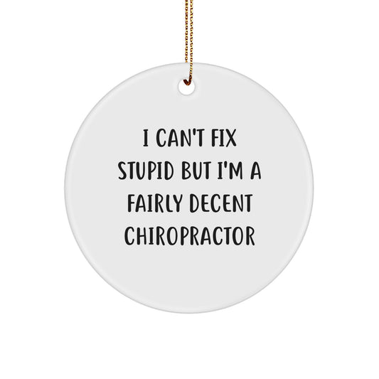 Funny Chiropractor Gifts for Men - 'I Can't Fix Stupid' Circle Ornament, Christmas Unique Tokens from Friends - Image 1