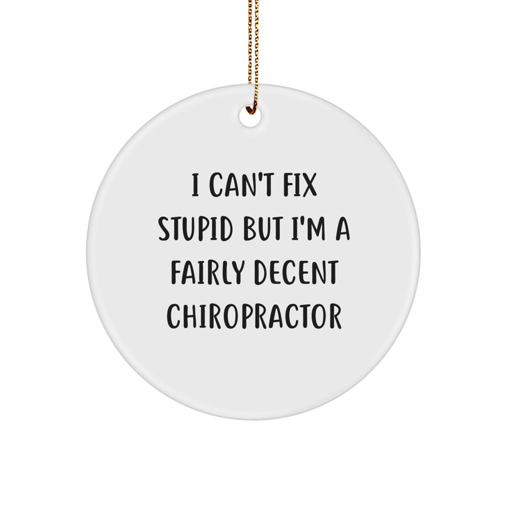 Funny Chiropractor Gifts for Men - 'I Can't Fix Stupid' Circle Ornament, Christmas Unique Tokens from Friends - Image 1