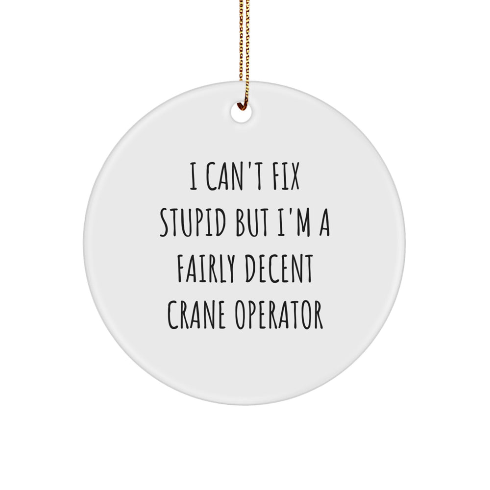Funny Crane Operator Gifts for Men from Friends, Cute Circle Ornament with 'I Can't Fix Stupid But I'm A Fairly Decent Crane Operator' Quote, Christmas Unique Presents - Image 1
