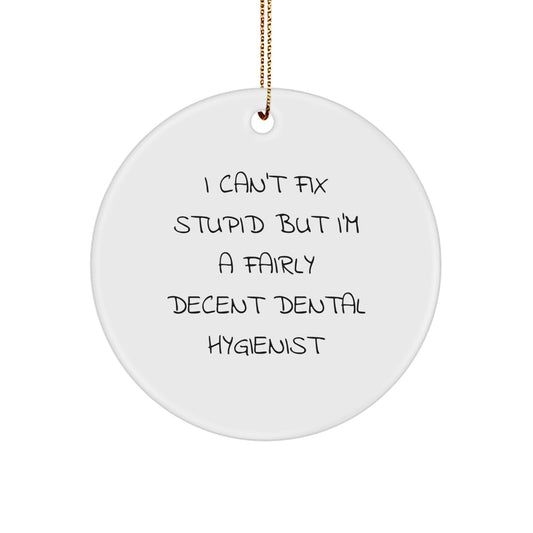 Funny Dental Hygienist Gifts from Friends Christmas Circle Ornament I Can't Fix Stupid But I'm A Fairly Decent, Gifts for Dental Hygienist - Image 1