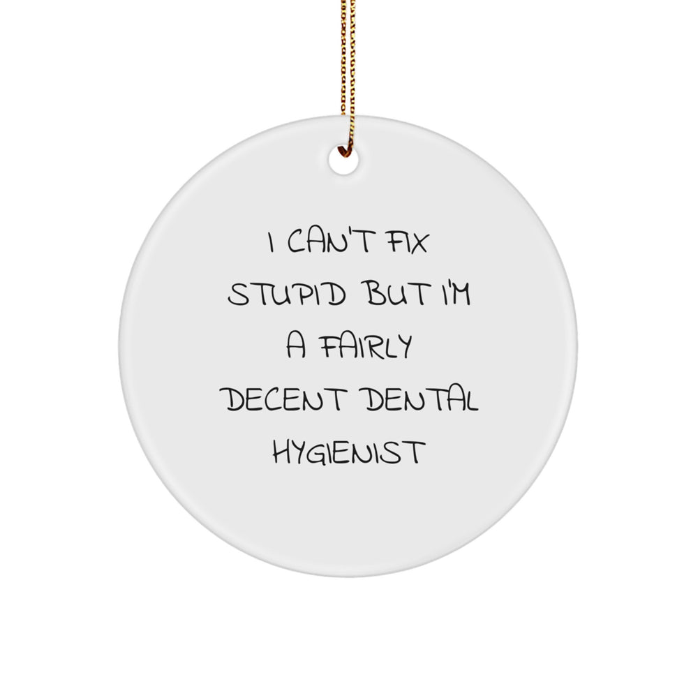 Funny Dental Hygienist Gifts from Friends Christmas Circle Ornament I Can't Fix Stupid But I'm A Fairly Decent, Gifts for Dental Hygienist - Image 1