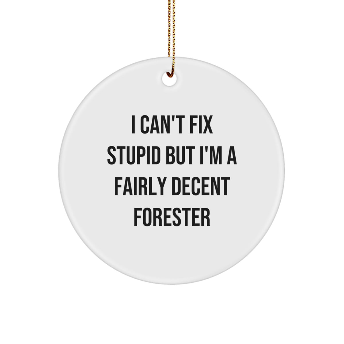 Funny Forester Gifts for Men, Circle Ornament with I Can't Fix Stupid Decent Forester Quote, Christmas Unique Gifts from Friends to Forester - Image 1