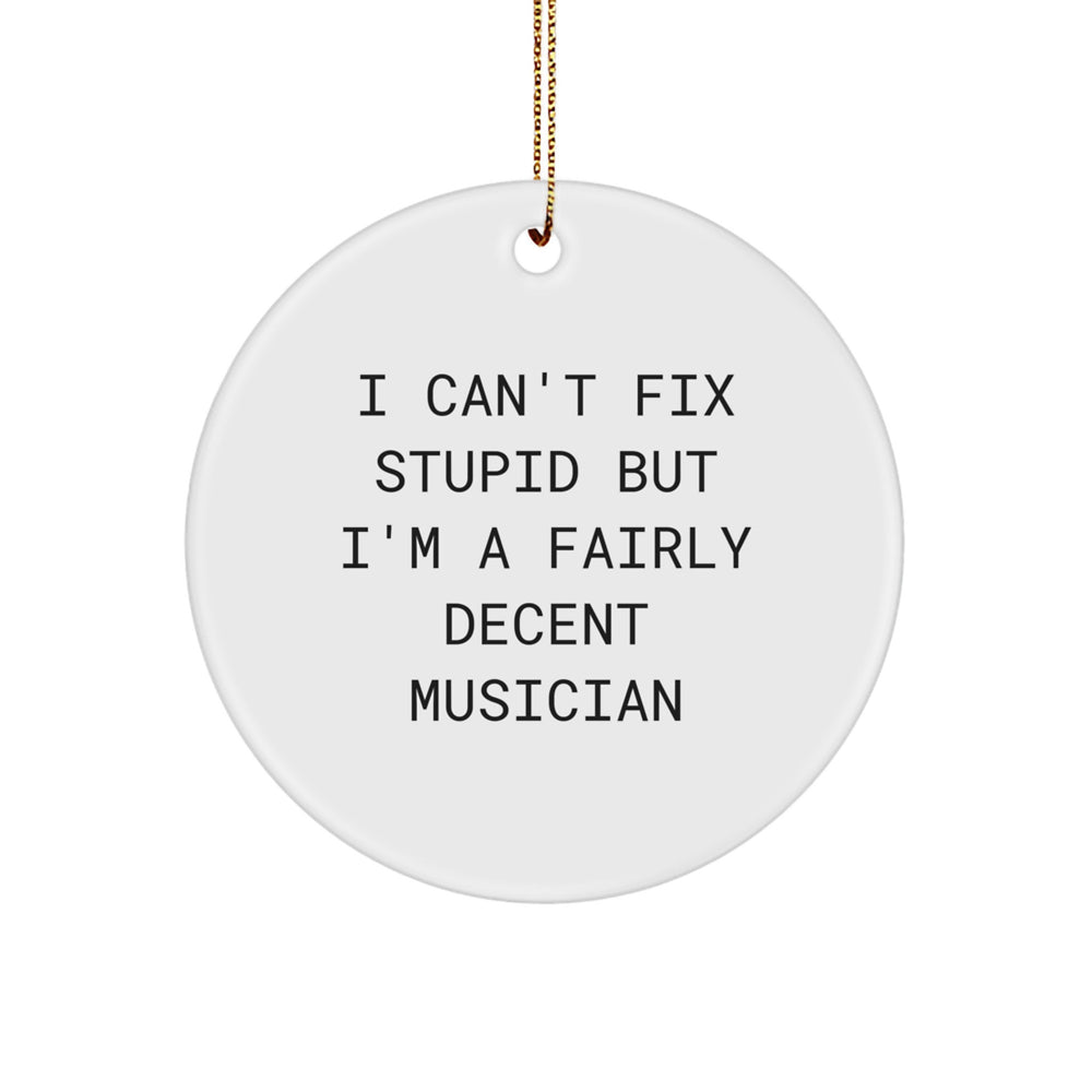 Funny Musician Gifts from Friends and Family - I Can't Fix Stupid But I'm A Fairly Decent Musician Circle Ornament for Christmas - Image 1