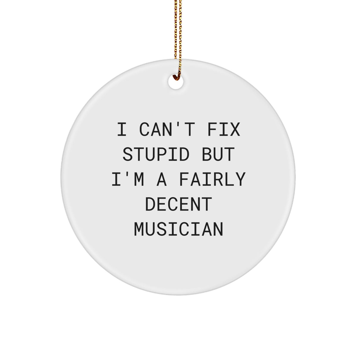 Funny Musician Gifts from Friends and Family - I Can't Fix Stupid But I'm A Fairly Decent Musician Circle Ornament for Christmas - Image 1