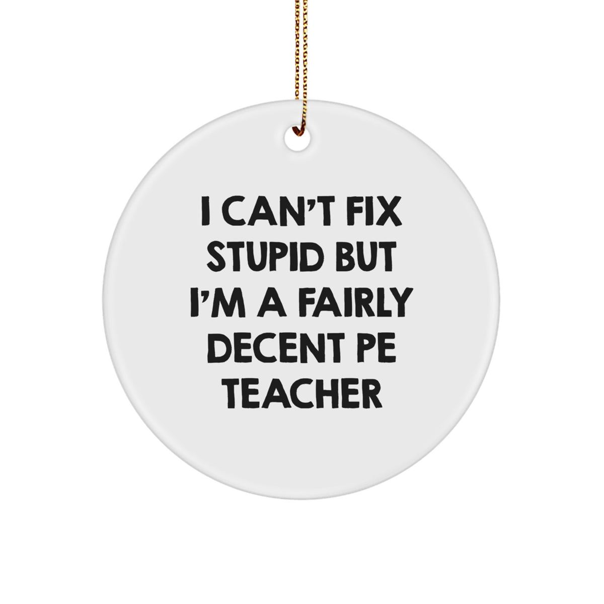 Funny PE Teacher Gifts from Friends - I Can't Fix Stupid But I'm A Fairly Decent PE Teacher Circle Ornament for Christmas - Image 1