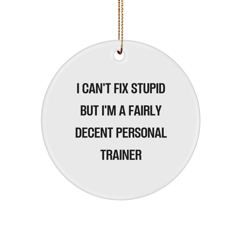 Personal Trainer Gifts from Friends - Funny Circle Ornament for Christmas - 'I Can't Fix Stupid But I'm A Fairly Decent Personal Trainer' Quote - Image 1