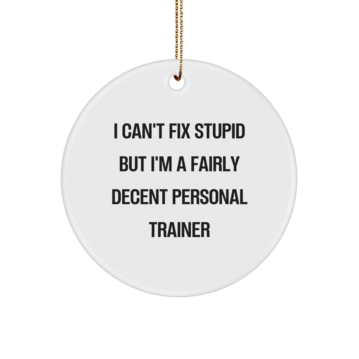Personal Trainer Gifts from Friends - Funny Circle Ornament for Christmas - 'I Can't Fix Stupid But I'm A Fairly Decent Personal Trainer' Quote - Image 1