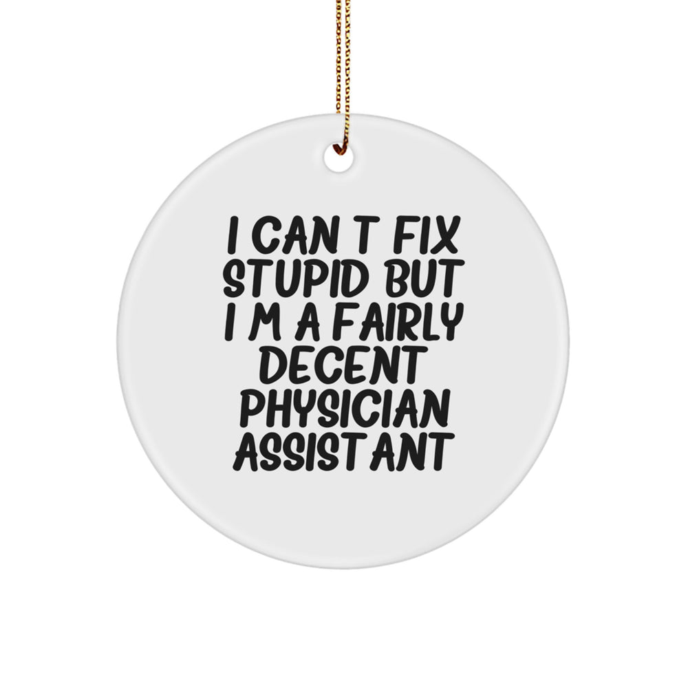 Funny Physician Assistant Gifts, 'I Can't Fix Stupid' Circle Ornament for Christmas - Gifts from Coworkers to Physician Assistant Friends and Family - Image 1