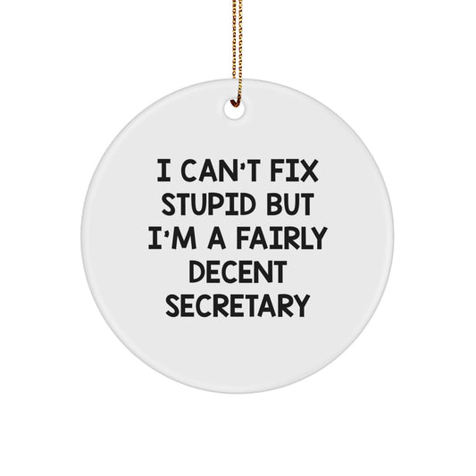 Funny Secretary Circle Ornament I Can't Fix Stupid But I'm A Fairly Decent Gifts from Friends and Family for Christmas - Image 1