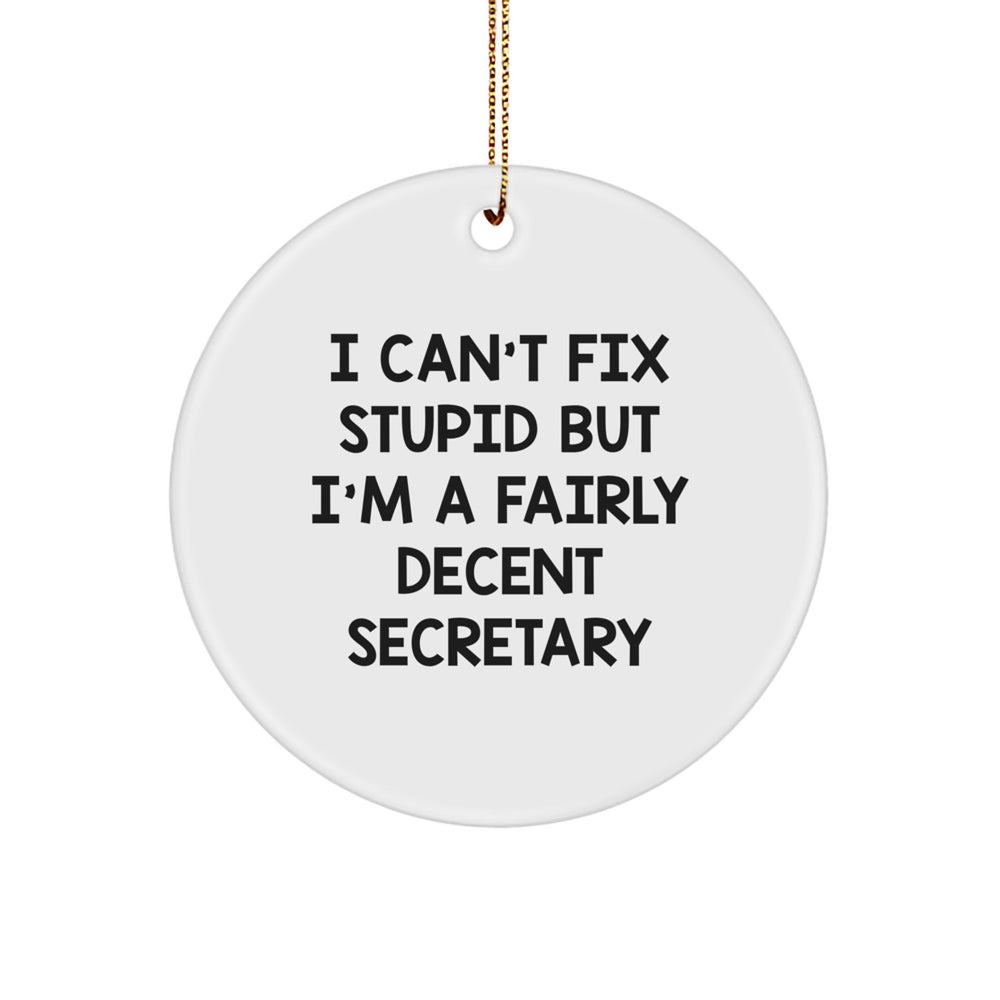 Funny Secretary Circle Ornament I Can't Fix Stupid But I'm A Fairly Decent Gifts from Friends and Family for Christmas - Image 1
