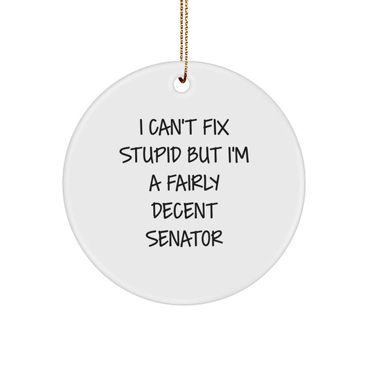 Funny Senator Gifts for Men - I Can't Fix Stupid But I'm A Fairly Decent Senator Circle Ornament, Christmas Unique Gifts from Friends - Image 1