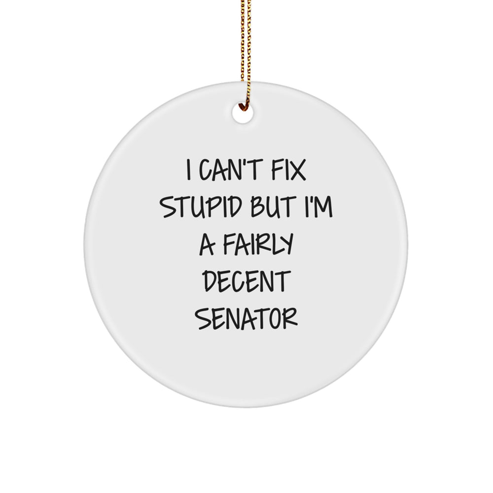 Funny Senator Gifts for Men - I Can't Fix Stupid But I'm A Fairly Decent Senator Circle Ornament, Christmas Unique Gifts from Friends - Image 1