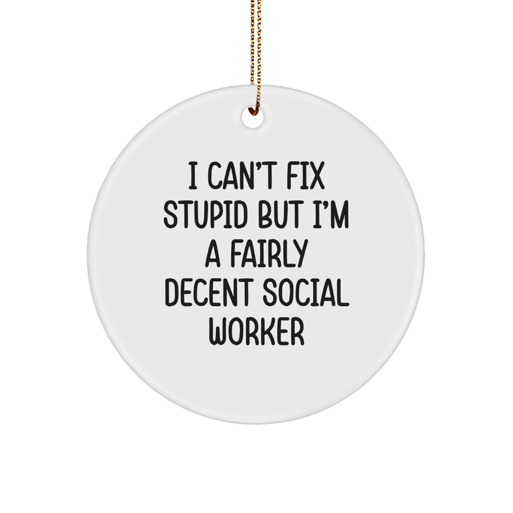 Social Worker Gifts: Funny Circle Ornament, 'I Can't Fix Stupid But I'm A Fairly Decent Social Worker', Christmas Memorable Presents from Friends to Social Worker, 2.75" Tall Ornament - Image 1