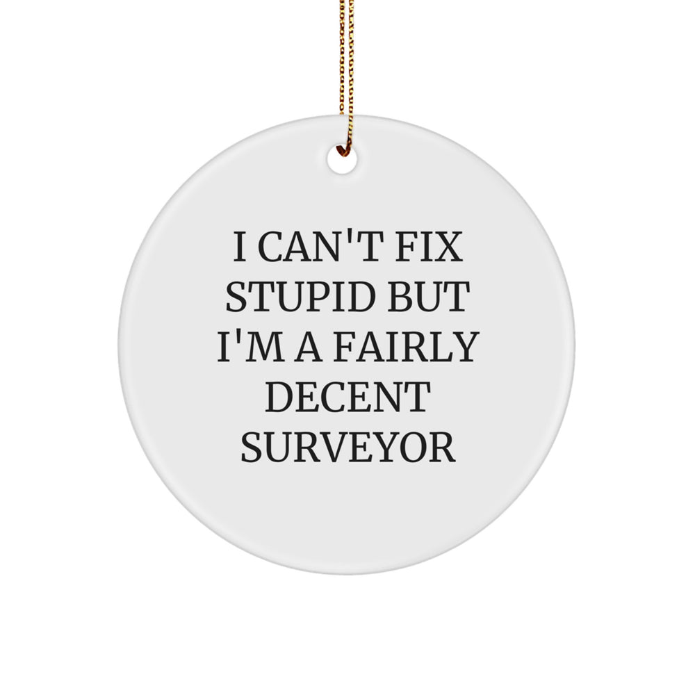Funny Surveyor Gifts for Men - I Can't Fix Stupid But I'm A Fairly Decent Surveyor Circle Ornament, White, 2.75" x 1/8" x 0.5 oz, Christmas Memorable Presents for Surveyor Friends and Family - Image 1