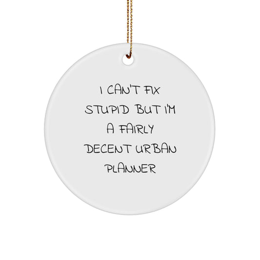Funny Urban Planner Gifts from Friends, Unique Circle Ornament for Urban Planner, 'I Can't Fix Stupid But I'm A Fairly Decent Urban Planner' Christmas Unique Gifts - Image 1