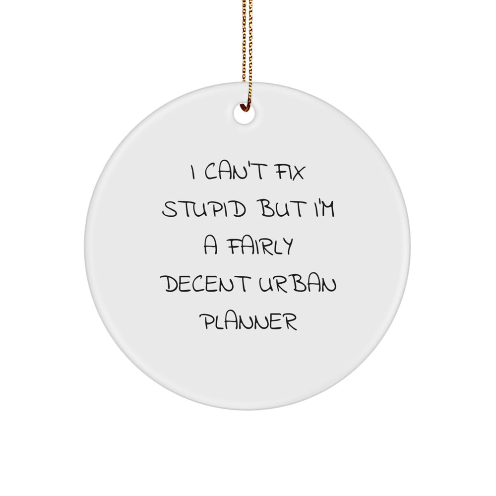 Funny Urban Planner Gifts from Friends, Unique Circle Ornament for Urban Planner, 'I Can't Fix Stupid But I'm A Fairly Decent Urban Planner' Christmas Unique Gifts - Image 1