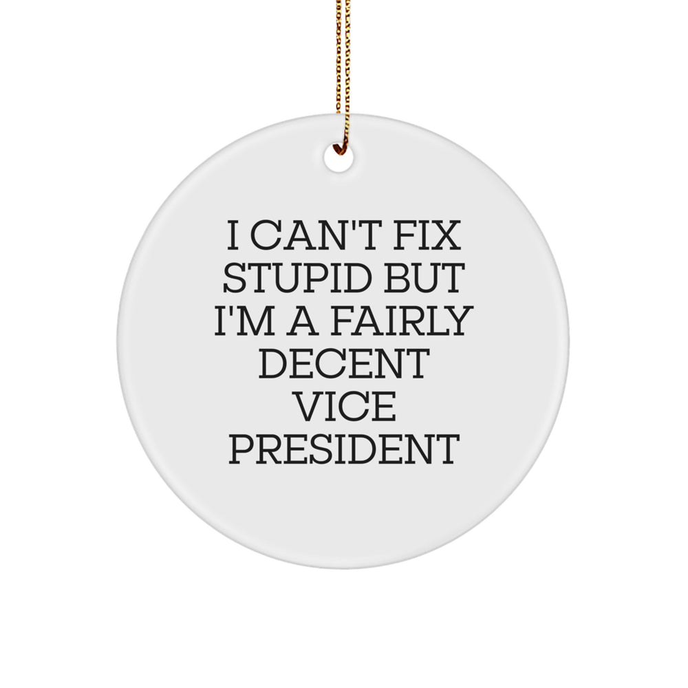 Funny Vice President Gifts, I Can't Fix Stupid But I'm A Fairly Decent Circle Ornament for Christmas, Gifts from Friends, Family, and Coworkers - Image 1
