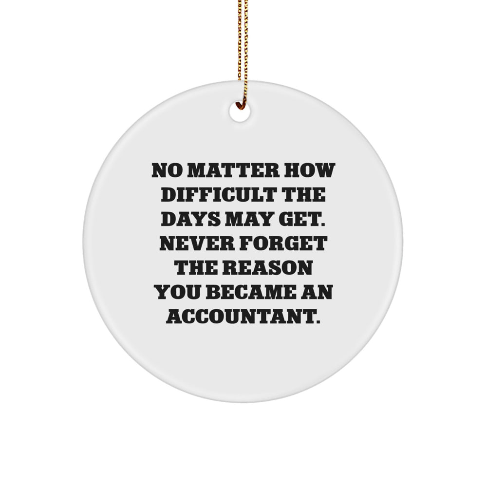 Inspirational Accountant Gifts from Friends and Family - Christmas Unique Circle Ornaments with Funny Quote - Image 1