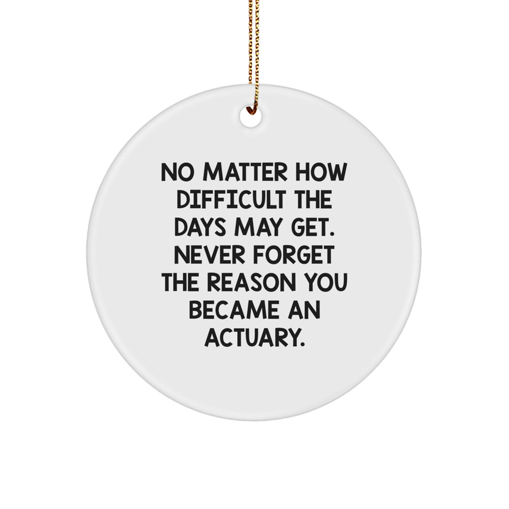 Funny Actuary Gifts for Men Circle Ornament, Never Forget the Reason You Became An Actuary, Inspirational Christmas Unique Gifts from Friends to Actuaries - Image 1