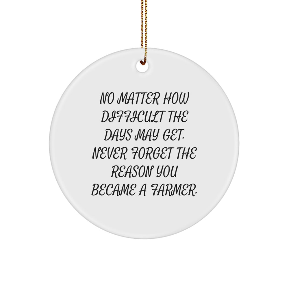 Farmer Christmas Unique Gifts from Friends Inspirational Circle Ornament - Never Forget Your Reason - Festive Gold Cord - Image 1
