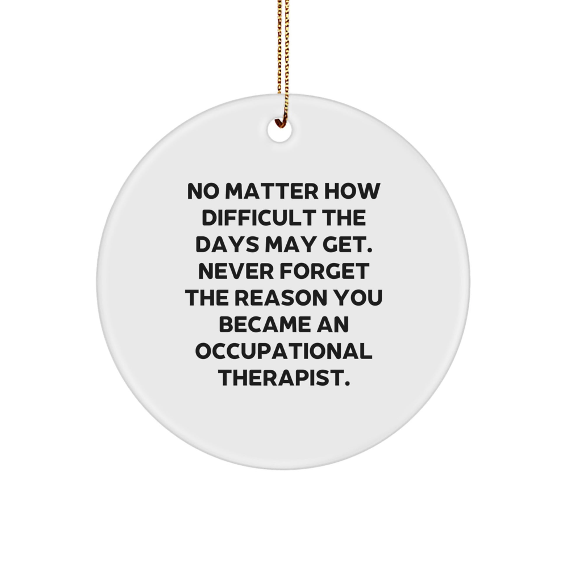 Occupational Therapist Christmas Unique Gifts from Co-workers, Unique Circle Ornament, Inspirational Quote - Never Forget The Reason - Image 1