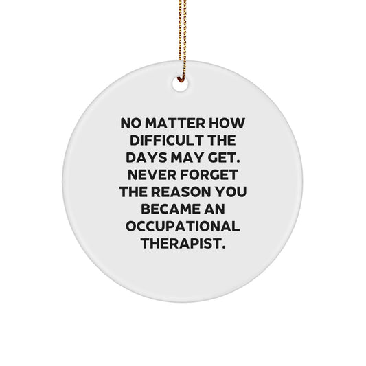 Occupational Therapist Christmas Unique Gifts from Co-workers, Unique Circle Ornament, Inspirational Quote - Never Forget The Reason - Image 1