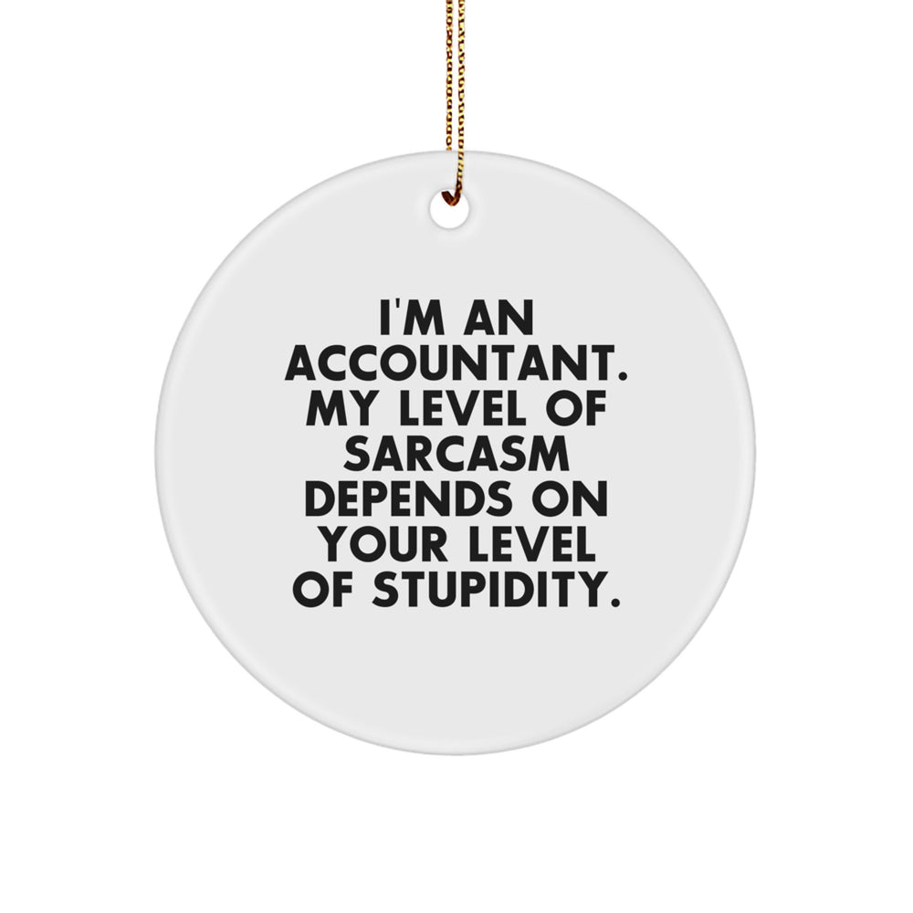 Funny Accountant Gifts for Christmas - 'I'm An Accountant. My Level Of Sarcasm Depends On Your Level Of Stupidity.' Circle Ornament - Image 1